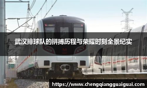 万向娱乐