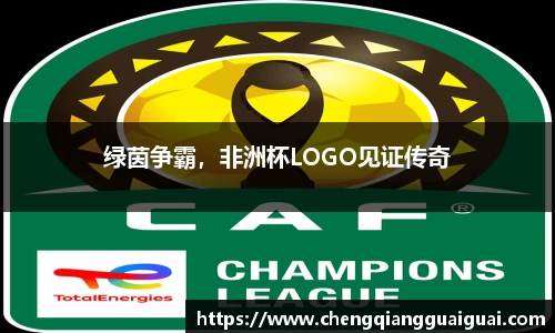 绿茵争霸，非洲杯LOGO见证传奇
