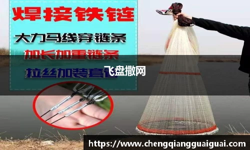 飞盘撒网