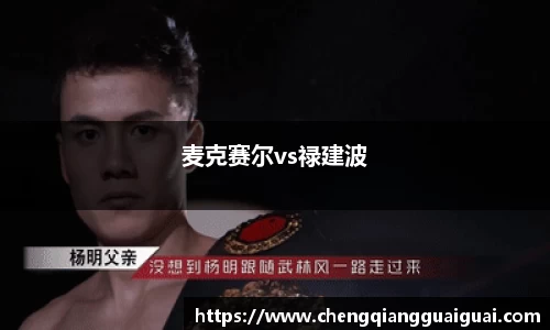 麦克赛尔vs禄建波