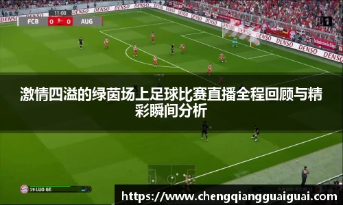 激情四溢的绿茵场上足球比赛直播全程回顾与精彩瞬间分析