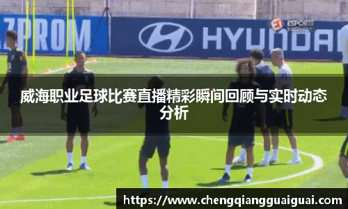 威海职业足球比赛直播精彩瞬间回顾与实时动态分析