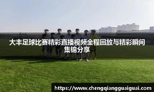 大丰足球比赛精彩直播视频全程回放与精彩瞬间集锦分享