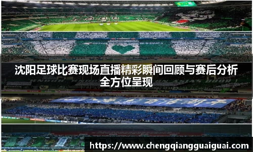 沈阳足球比赛现场直播精彩瞬间回顾与赛后分析全方位呈现