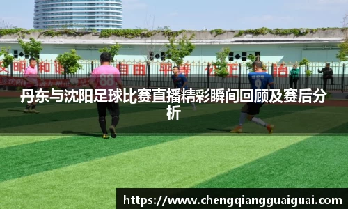 丹东与沈阳足球比赛直播精彩瞬间回顾及赛后分析