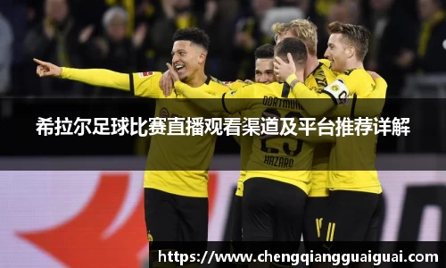 希拉尔足球比赛直播观看渠道及平台推荐详解