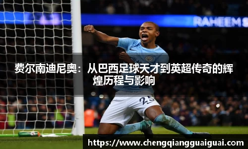 费尔南迪尼奥：从巴西足球天才到英超传奇的辉煌历程与影响