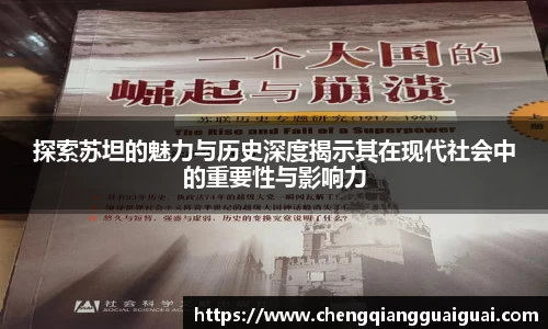 探索苏坦的魅力与历史深度揭示其在现代社会中的重要性与影响力