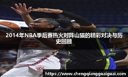 2014年NBA季后赛热火对阵山猫的精彩对决与历史回顾