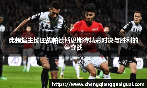 弗赖堡主场迎战帕德博恩期待精彩对决与胜利的争夺战
